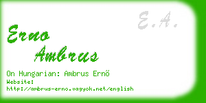 erno ambrus business card