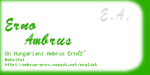 erno ambrus business card